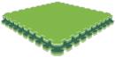 Green/Lime Green