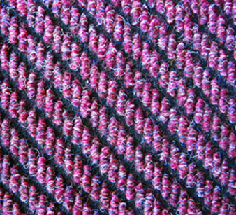 Cranberry