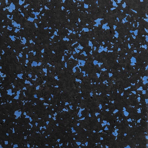 Blue fleck gym 2025 flooring